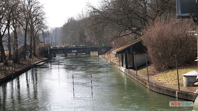 H.H.Eiskanal im Frühlingsgewand 17